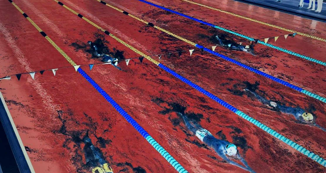 When the Analysis Report Returns a Zero: Data Governance Lessons for Vietnamese Swimming When the Analysis Report Returns a Zero: Data Governance Lessons for Vietnamese Swimming