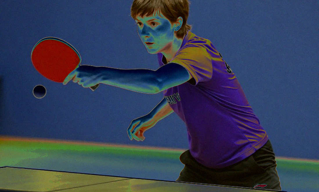 Three Olympic Champions Leave the WTT Rankings: The Table Tennis Market Searches for a New Price Axis